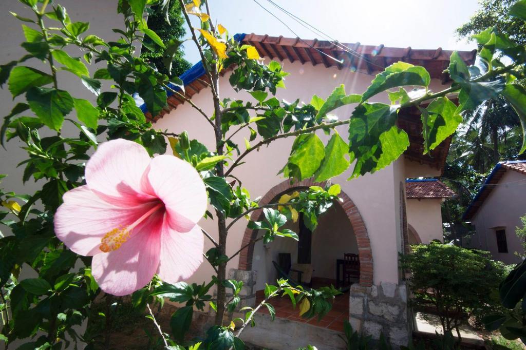 Diadem Resort Phú Quý Zewnętrze zdjęcie